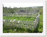 Roadside Garden Plots * 2592 x 1944 * (2.51MB)